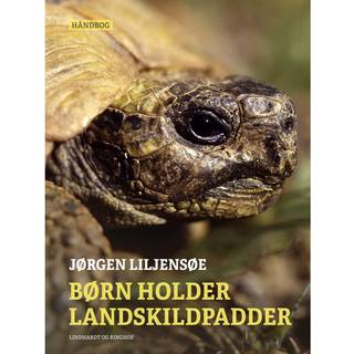 Børn holder landskildpadder