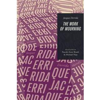 The Work of Mourning