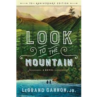 Look to the Mountain - A Novel