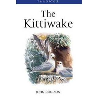 The Kittiwake