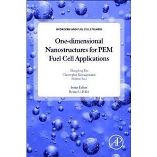 One-dimensional Nanostructures for PEM Fuel Cell Applications