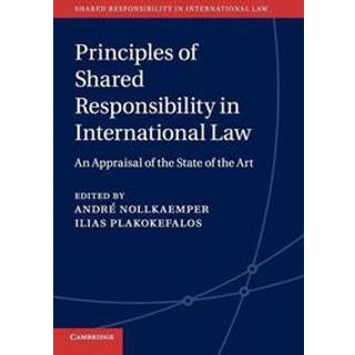 Principles of Shared Responsibility in International Law
