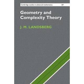 Geometry and Complexity Theory