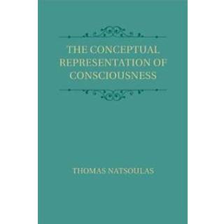 The Conceptual Representation of Consciousness