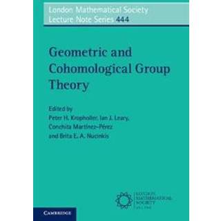 Geometric and Cohomological Group Theory