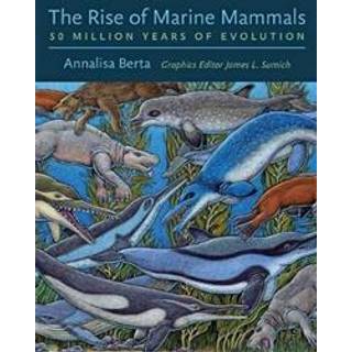 The Rise of Marine Mammals