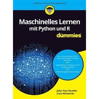Maschinelles Lernen mit Python und R für Dummies, Edition 1 (Physical)