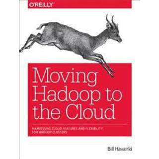 Moving Hadoop in the Cloud