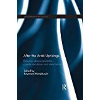 After the Arab Uprisings