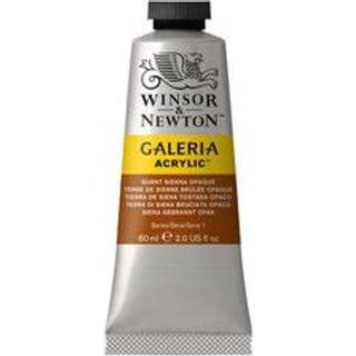 Winsor & Newton Galeria Burnt Sienna Akrylfarve Opaque 077 60 ml