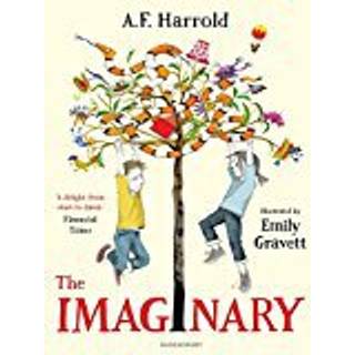 The Imaginary