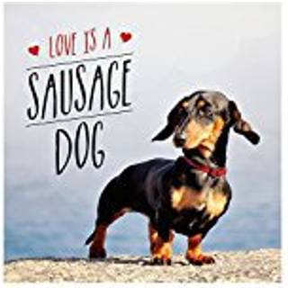 Love is a Sausage Dog