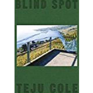 Blind Spot