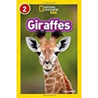 Giraffes