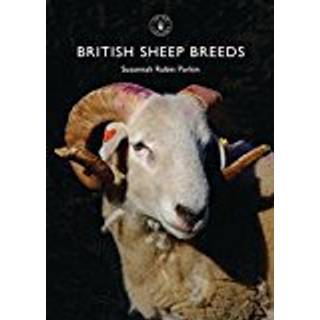 British Sheep Breeds