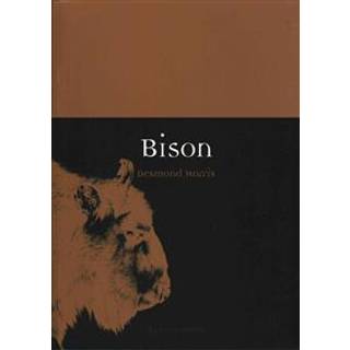 Bison