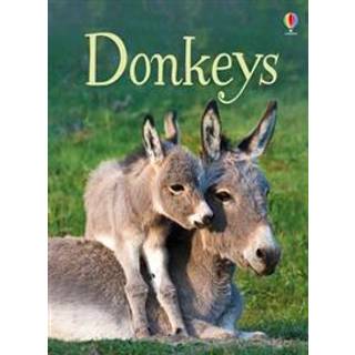 Donkeys