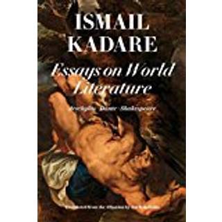 Essays On World Literature