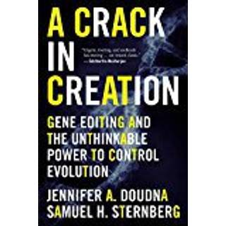 A Crack in Creation