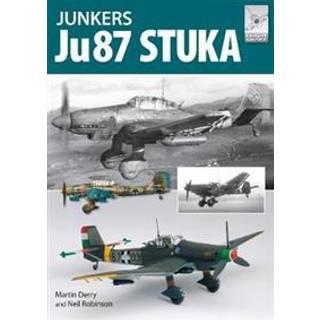 Flight Craft 12: The Junkers Ju87