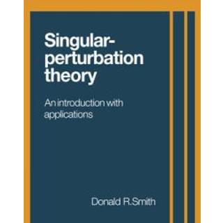 Singular-Perturbation Theory
