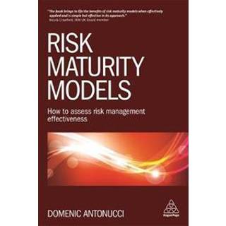 Risk Maturity Models