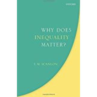 Why Does Inequality Matter?