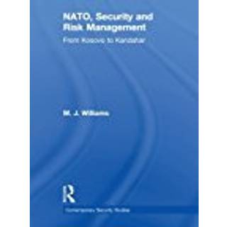 NATO, Security and Risk Management