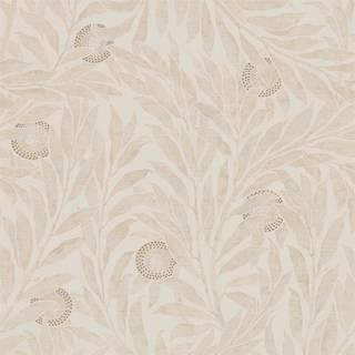 Orange Tree Oyster - 216401