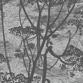 Cow Parsley - Charcoal