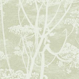 Cow Parsley - Olive