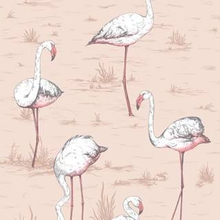 Flamingos - Ballet Slipper
