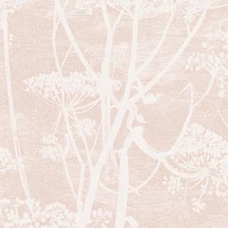 Cow Parsley - Ballet Slipper