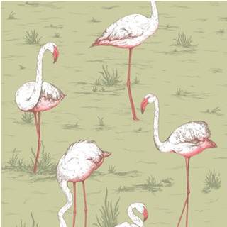 Flamingos - Olive