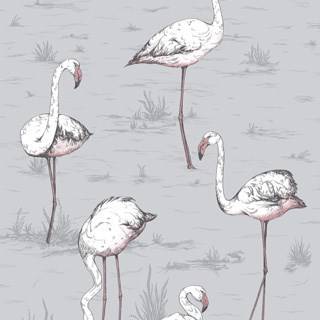 Flamingos - Ink & Alabaster Pink