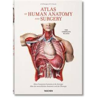 Atlas of Human Anatomi XL