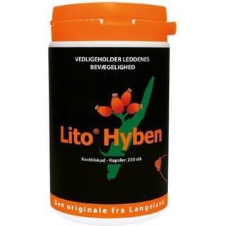 Lito Hyben Vegetabilsk kapsel 250 x 500mg