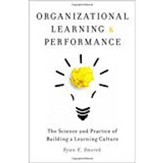 Organizational Learning and Performance
