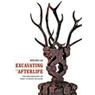 Excavating the Afterlife