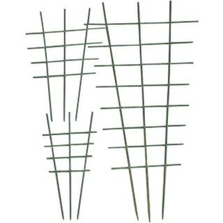 Nelson Garden 5207 Espalier træ, grøn 45 cm