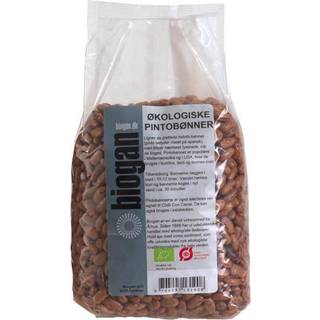Biogan Pinto Bønner Ø (1 kg)