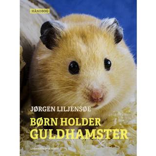Børn holder guldhamster