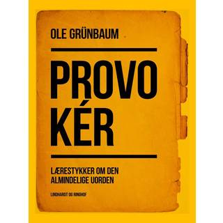 Provokér: Lærestykker om den almindelige uorden