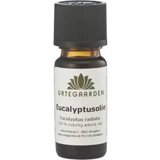 Eucalyptusolie æterisk olie 10 ml.