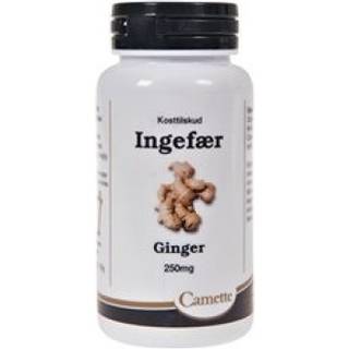 Camette Ingefær 250 mg. - 140 tabletter