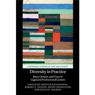 Diversity in Practice