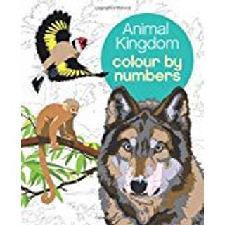 Animal Kingdom Colour by Numbers