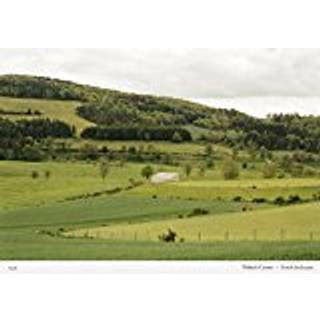 Thibaut Cuisset: French Landscapes