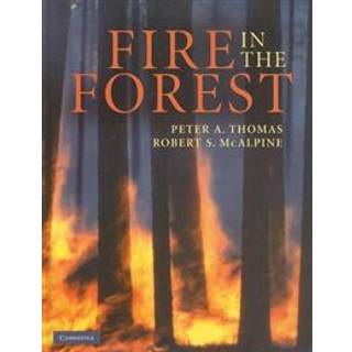 Fire in the Forest