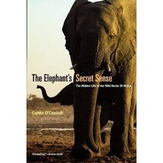 The Elephant`s Secret Sense – The Hidden Life of the Wild Herds of Africa